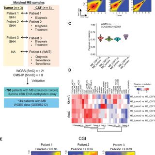 Reliable tumor detection by whole-genome methylation sequencing of cell-free DNA in cerebrospinal fluid of pediatric medulloblastoma