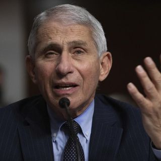 Trump says Americans are ‘tired of hearing’ from Dr. Fauci