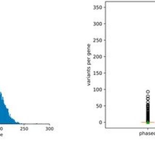 High Contiguity de novo Genome Sequence Assembly of Trifoliate Yam (Dioscorea dumetorum) Using Long Read Sequencing