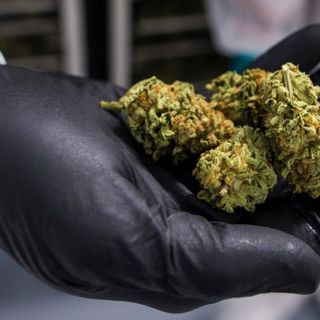 Ontario passes emergency order allowing pot shops to deliver and offer pickup