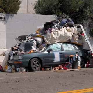 Maggots, Rodents, and Fleas: LA's Garbage Problem Is Getting Worse During the Pandemic