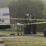 2 teens found shot to death after car crash in Willowbrook identified by family members