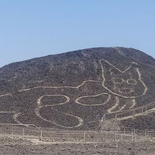 A 2,000-year-old cat was discovered carved on a hillside among Peru’s Nazca Lines