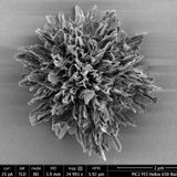 World's most complex microparticle: A synthetic that outdoes nature's intricacy (Update)