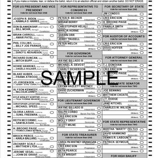 Ballots are being sent by mail. What you need to know to vote.