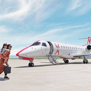 Wait, there's a private jet from Dallas to Houston for $99?