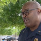 SAFD chief apologizes after photo shows him posing with naked woman covered in sushi