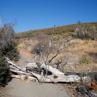 Here’s why the Bay Area faces extreme fire danger this weekend