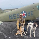 Restaurateur uses pandemic downtime to fly at-risk dogs and cats to safety