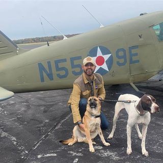 Restaurateur uses pandemic downtime to fly at-risk dogs and cats to safety