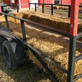 1 killed, 17 injured after hayride overturns in Illinois