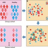 A quasi-paired cohort strategy reveals the impaired detoxifying function of microbes in the gut of autistic children