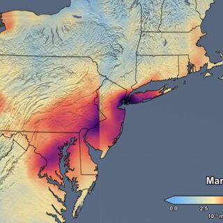 Scientists cite pollution decrease in calls to "flatten the curve" of climate change post-coronavirus