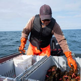 Indigenous people in Nova Scotia exercised their right to catch lobster. Now they’re under attack.