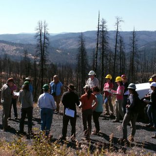 What happens when loggers and environmentalists work together?