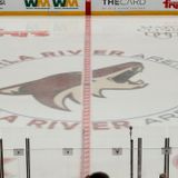 Coyotes draft pick Mitchell Miller's bullying past was known