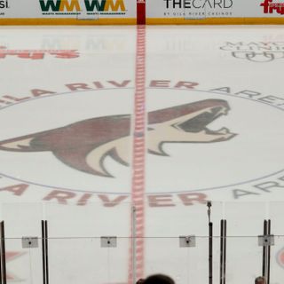 Coyotes draft pick Mitchell Miller's bullying past was known