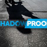 The Idiocrat - Shadowproof