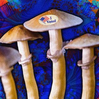 Oregon Is on the Verge of Legalizing Shrooms Therapy, Thanks to Your Favorite Hippie Soap