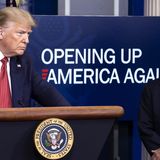 What happened to Trump's 'Opening Up America Again' task force?