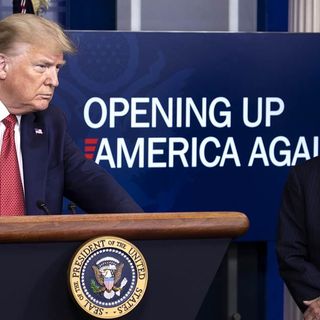 What happened to Trump's 'Opening Up America Again' task force?