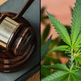 Mississippi Supreme Court Won’t Consider Challenge To Medical Marijuana Measure Until After Election