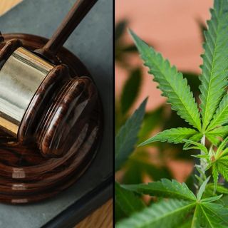 Mississippi Supreme Court Won’t Consider Challenge To Medical Marijuana Measure Until After Election