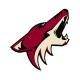 Coyotes Renounce Rights to Mitchell Miller