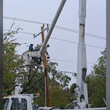 Still good eating or time to toss it? How to know if your food is safe after the storms and power outages