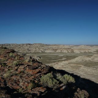 Trump administration must consider climate change before leasing land in Wyoming, court orders