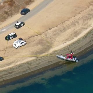 ‘It Had Teeth': Man Describes Unsettling Scene Where He Found What Could Be Human Remains