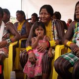 Coronavirus 'could wipe out Brazil's indigenous people'