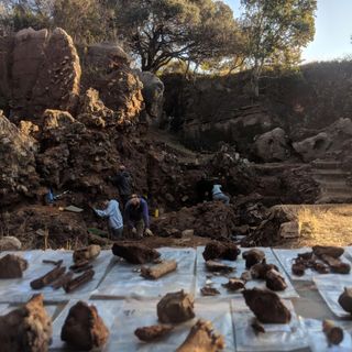 In Groundbreaking Find, Three Kinds of Early Humans Unearthed Living Together in South Africa