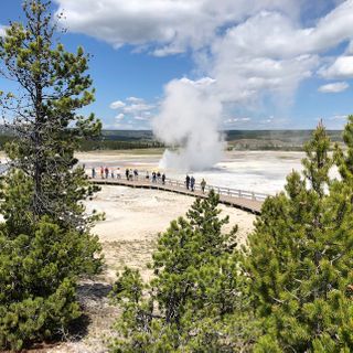 Idaho Falls man, two others in hot water after chickens found in Yellowstone hot spring - East Idaho News