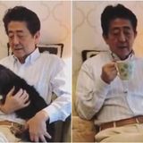 Japan's PM Shinzo Abe criticised as tone deaf after lounge-at-home Twitter video with pet dog