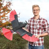 Hawk-inspired robot with movable wings is an agile long-distance flyer