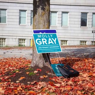 Waitsfield woman accused of stealing 39 political signs