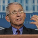 “It Is What It Is”: Anthony Fauci Deploys Scorsese Quote To Deflect Question Over Trump’s Culpability