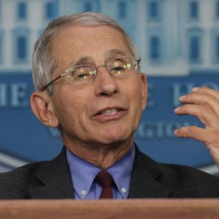 “It Is What It Is”: Anthony Fauci Deploys Scorsese Quote To Deflect Question Over Trump’s Culpability