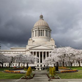 Washington voters approve comprehensive sex ed with Referendum 90