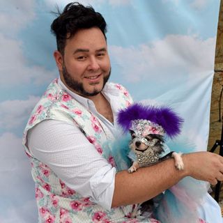 This Philly pet fashion designer is a fur dad to five Chihuahuas | We The People