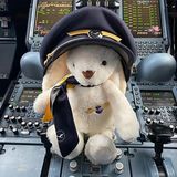 Easter Bunny named Jacinda flies as sole passenger on flight to collect stranded Germans in New Zealand