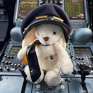 Easter Bunny named Jacinda flies as sole passenger on flight to collect stranded Germans in New Zealand