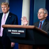 White House denies Trump is considering firing Fauci despite his retweet of a hashtag calling for his ouster