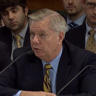 Sen. Graham vows to follow-up on affidavit from Penn. postal worker alleging election fraud