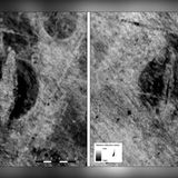 Archaeologists in Norway find rare Viking ship burial using only radar