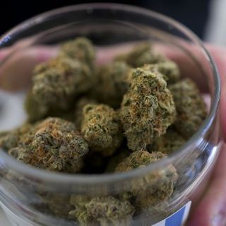 Tennessee lawmaker plans to introduce medical marijuana bill