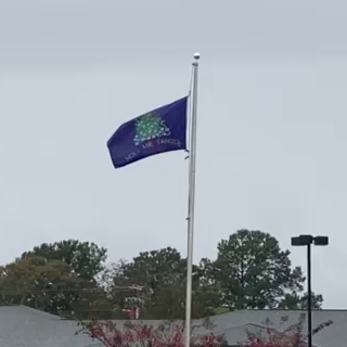 Confederate flag removed from Marshall County Courthouse