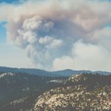Researchers blend CAT scans and advanced computing to fight wildfires