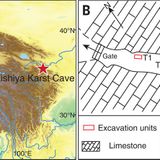 Denisovan DNA in Late Pleistocene sediments from Baishiya Karst Cave on the Tibetan Plateau